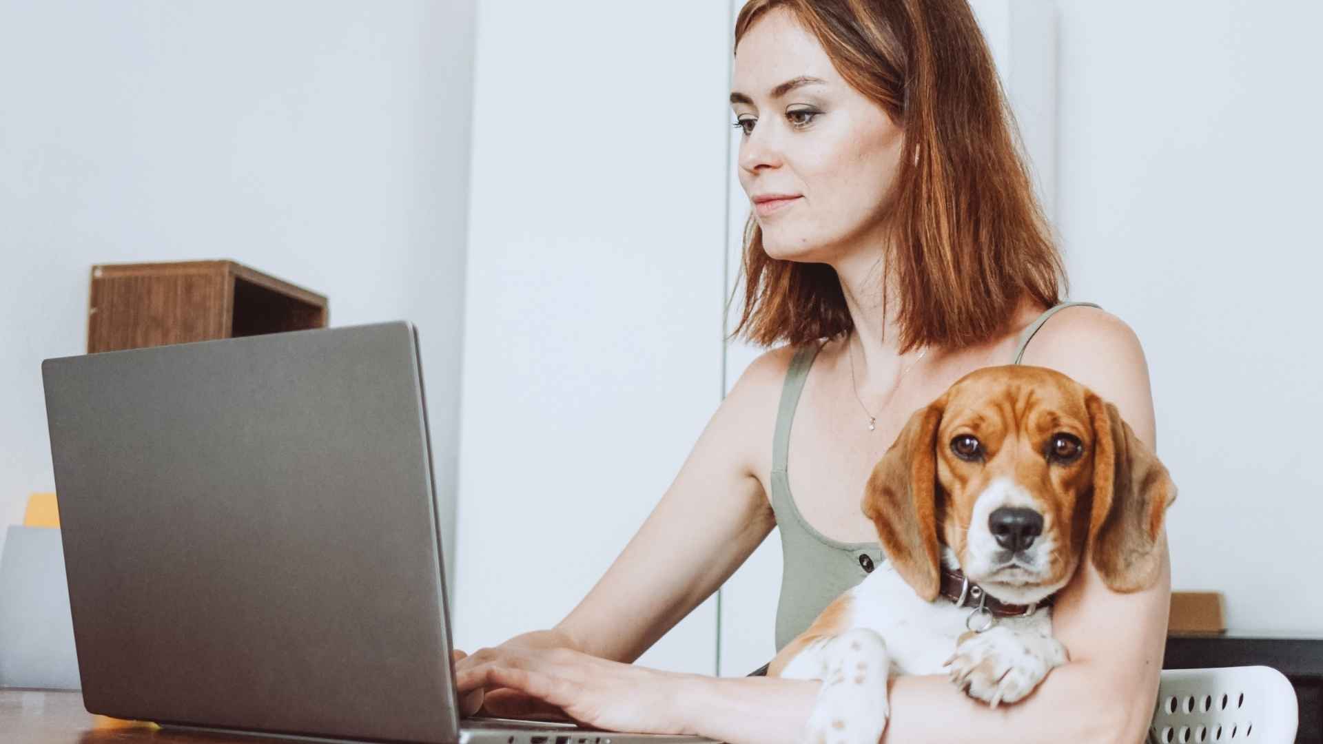 Evaluating If Working From Home (WFH) Is For You