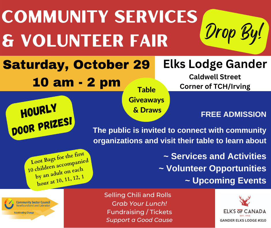 Community Services and Volunteer Fair