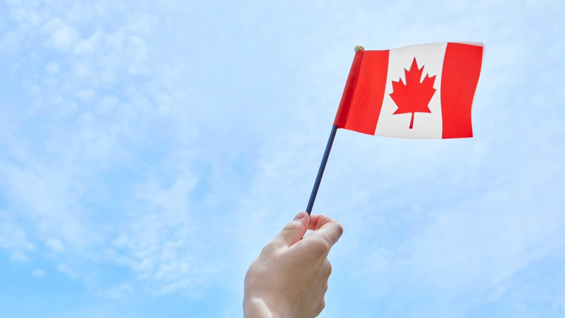 IDPD Webinar: Unlocking the benefits of a CIBC RDSP