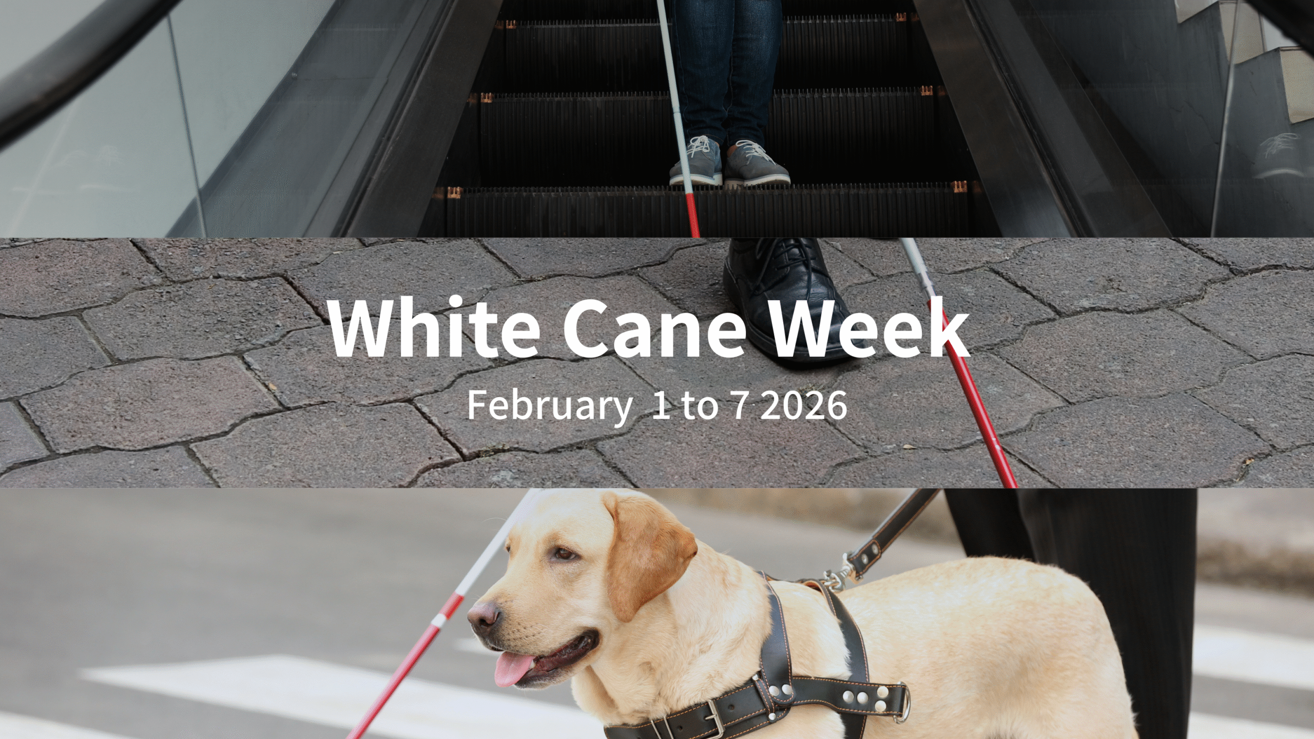 White Cane Week (Feb 1-7)