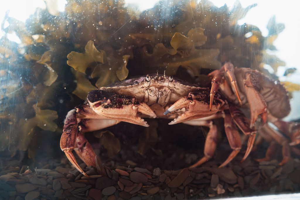 Catherine Street, Champney’s West Aquarium: How Inclusive Hiring Strengthened a Community Workplace