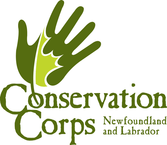CCNL logo