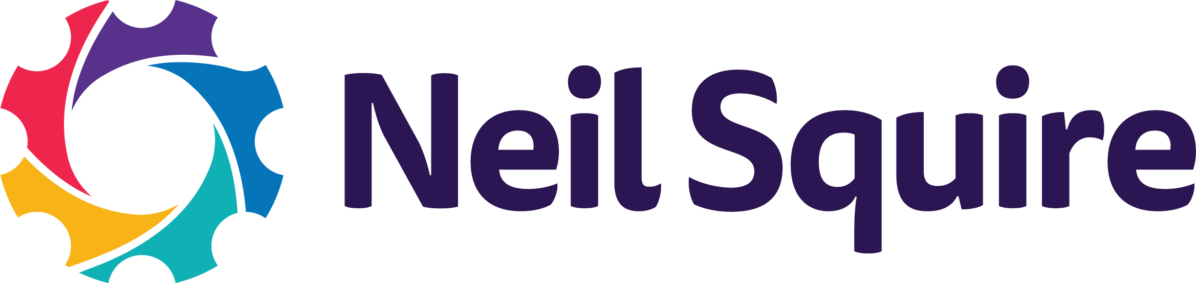 Logo de Neil Squire